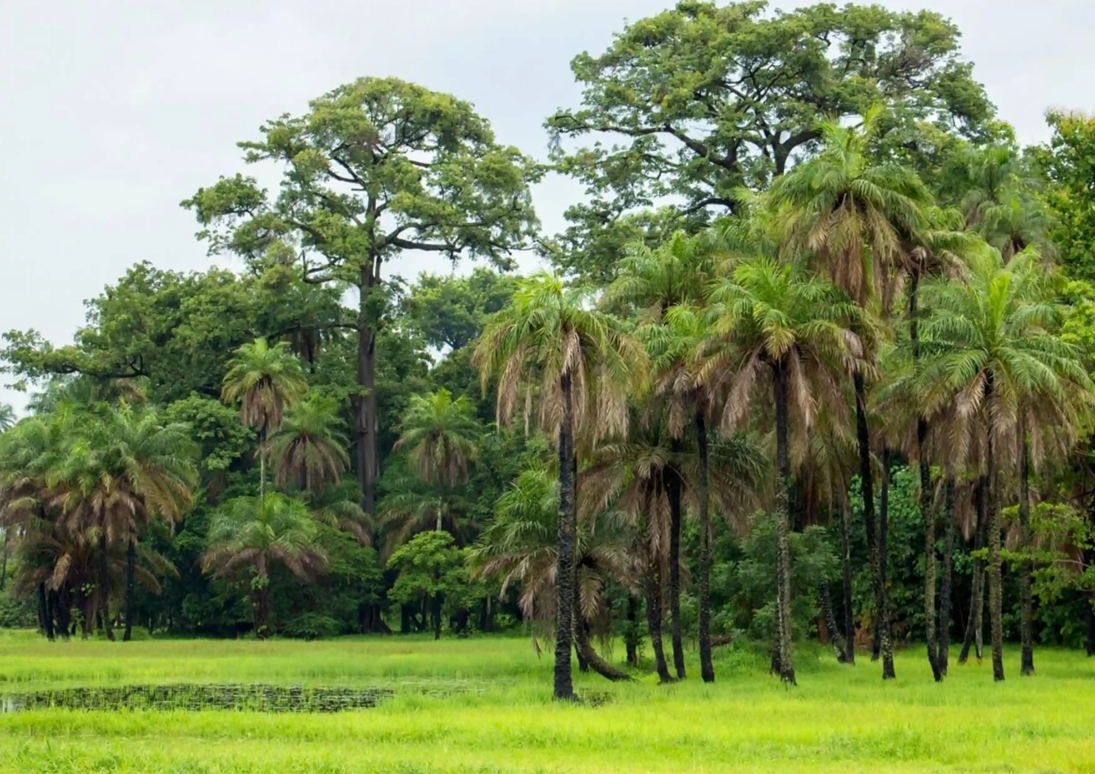 Paysages de Casamance